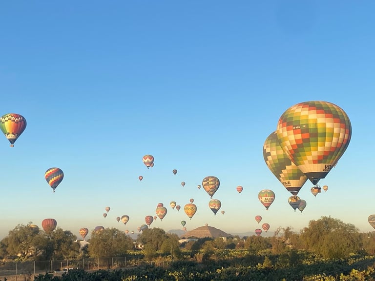 Múltiples globos aerostáticos flotando en un cielo azul despejado sobre un paisaje con árboles y edificios